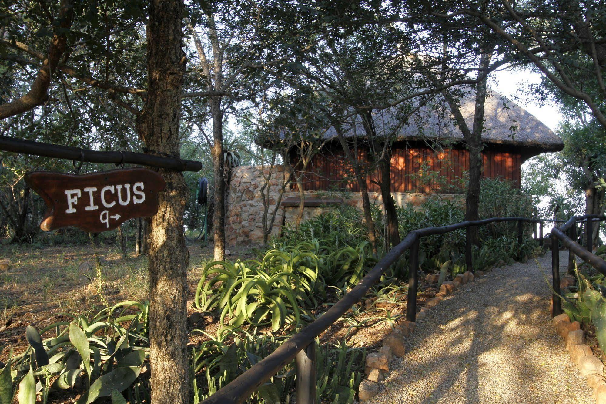 Shayamoya Tiger Fishing And Game Lodge Pongola Exteriér fotografie